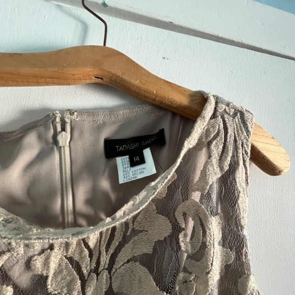 Tadashi Shoji Lace Overlay Dress in Sand, 14 - Picture 3 of 11